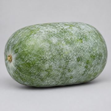 ฟักเขียว