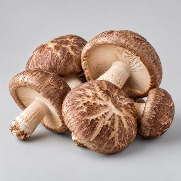 เห็ดหอม