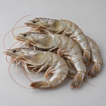กุ้ง